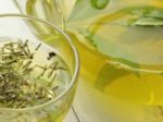 予防緑茶　癌　予防