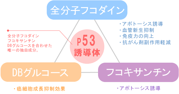 p53誘導体