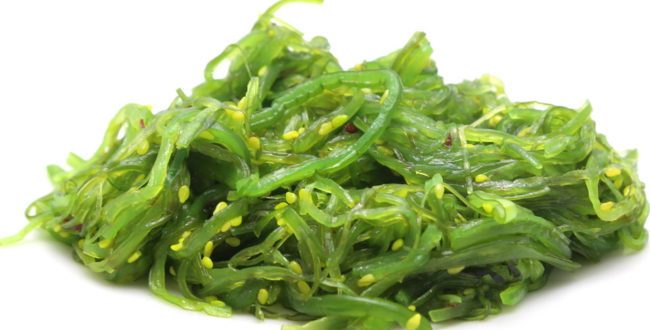 フコダイン　サプリ　効果　ガン