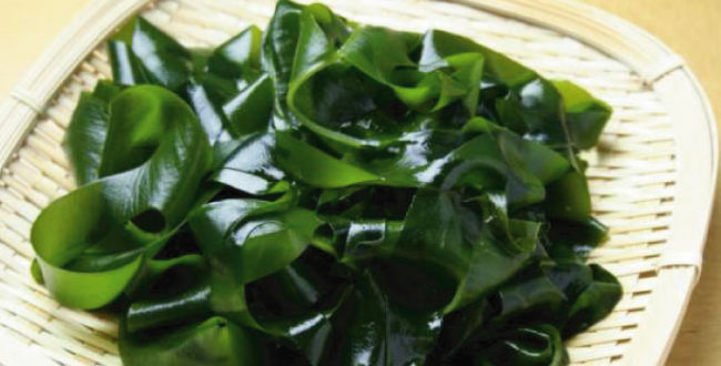 わかめ　フコダイン　抗がん物質